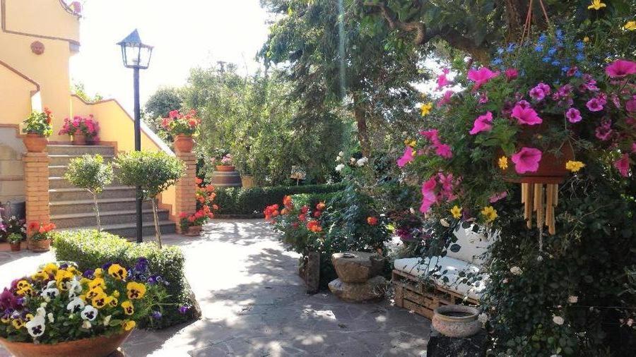 Bed And Breakfast Val Di Lupa Castellina Marittima Εξωτερικό φωτογραφία