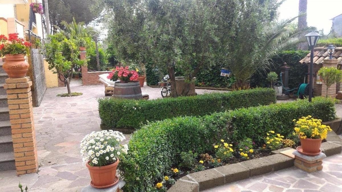 Bed And Breakfast Val Di Lupa Castellina Marittima Εξωτερικό φωτογραφία